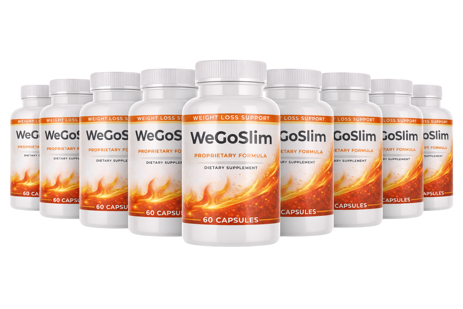 Conclusions & Final Verdicts of WeGoSlim 